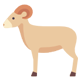 ram بز