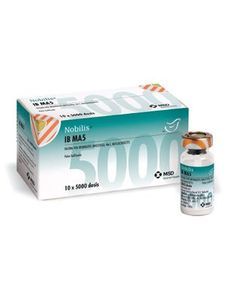 برونشیت Ma5