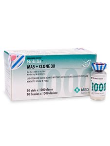 دوگانه نیوکاسل کلون ۳۰ و برونشیت Ma5