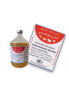 آنتروتوکسمی