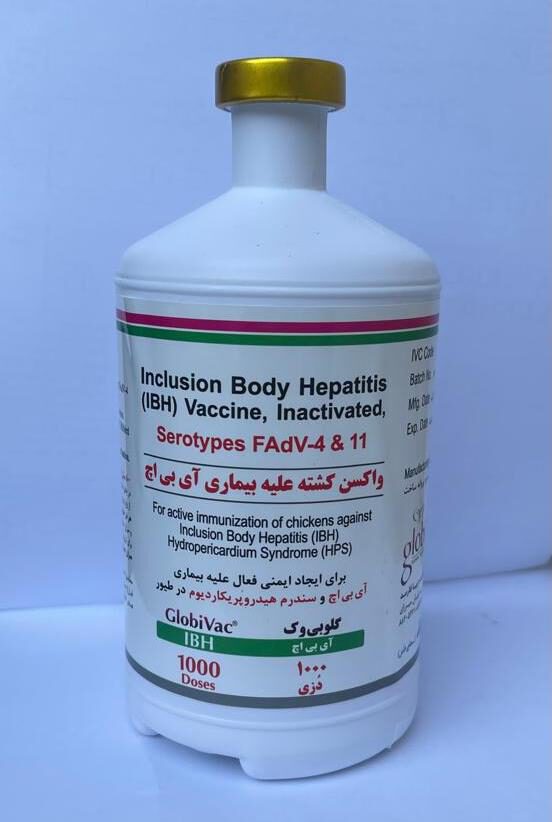 واكسن IBH دو سويه 1000 دزي- Globion